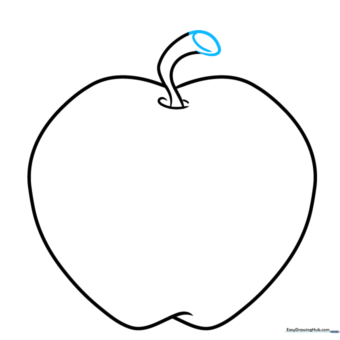 Pencil sketch showing the closed ends of the apple stem.