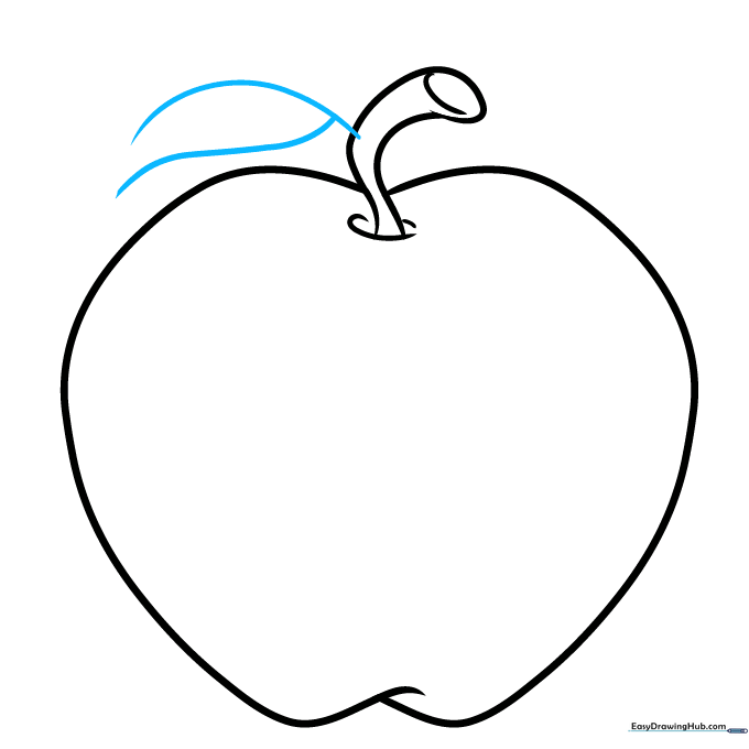 Pencil sketch showing the outline of the apple leaf.