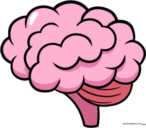 A colorful, friendly cartoon brain illustration, perfect for school projects.