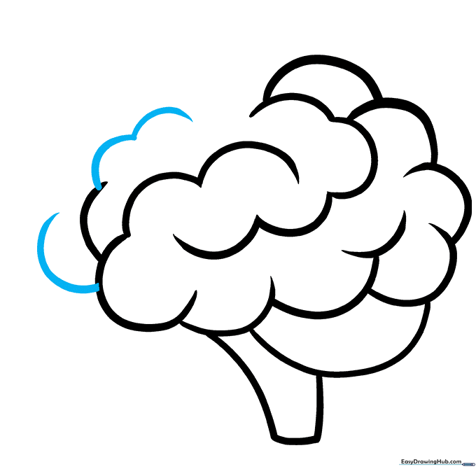 Adding final overlapping details to the front of the brain.