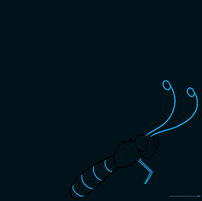 Adding two antennae with circles at the end and the first leg segment.