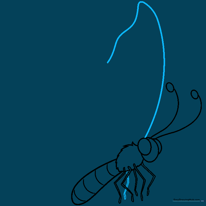 Outlining the large upper wing with a wavy line.