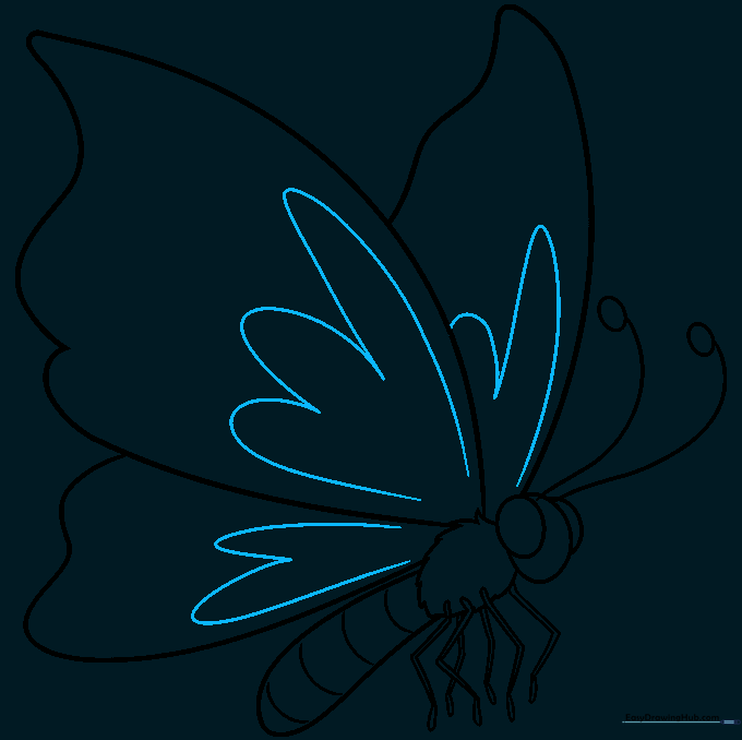 Adding decorative U-shaped patterns to the butterfly wings.