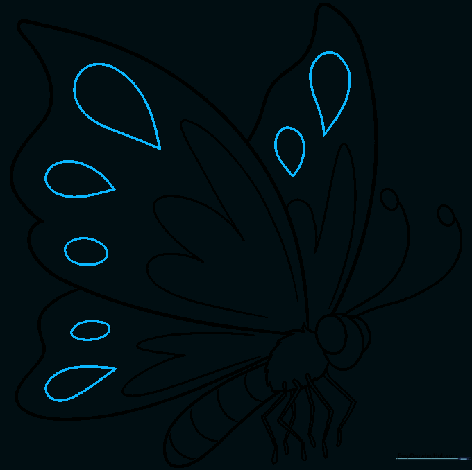 Adding teardrop-shaped details to the wing patterns.
