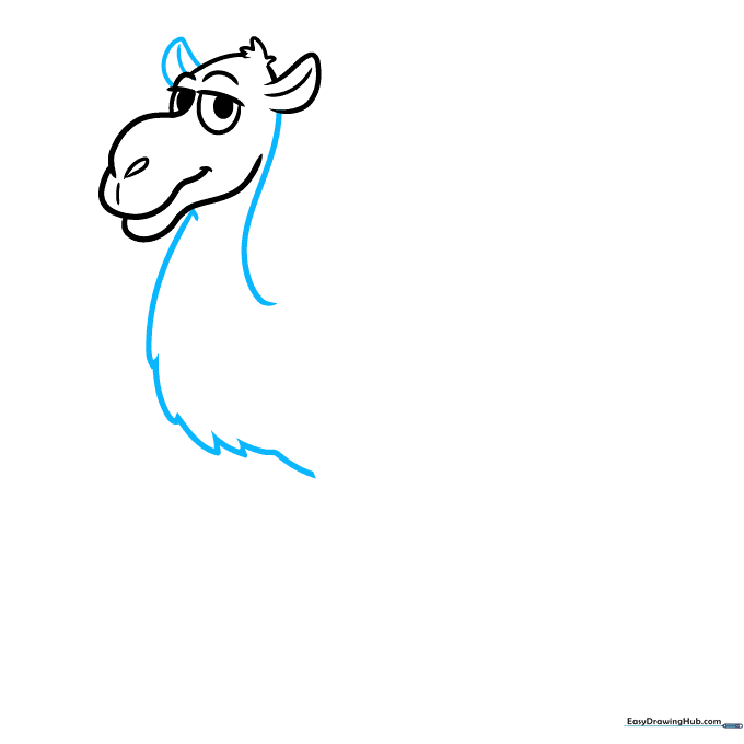 Adding the camel's neck and chest fur using jagged lines for texture.