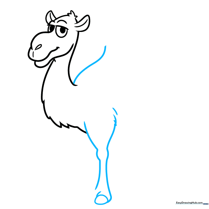 Sketching the camel's hump and the first front leg with a visible knee joint.