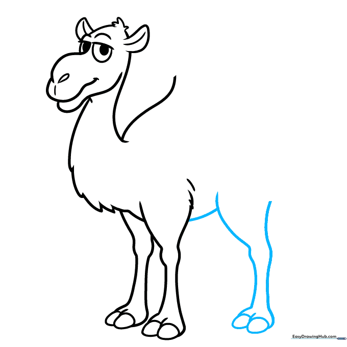 Drawing the rear leg and connecting the belly line to the front legs.