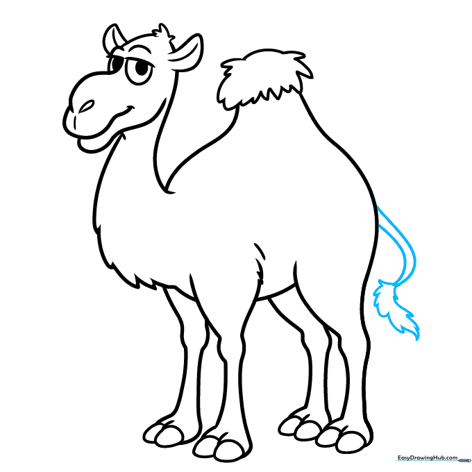 Drawing the camel's tail with a tuft of fur at the tip.