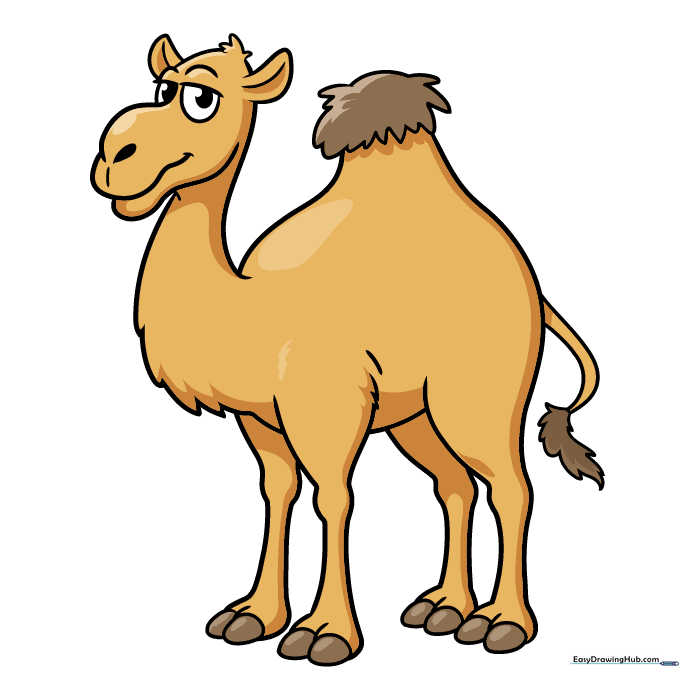 The finished, colored cartoon camel drawing with tan and brown tones.