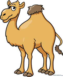A colorful, friendly cartoon camel standing in the desert, the final result of the drawing tutorial.