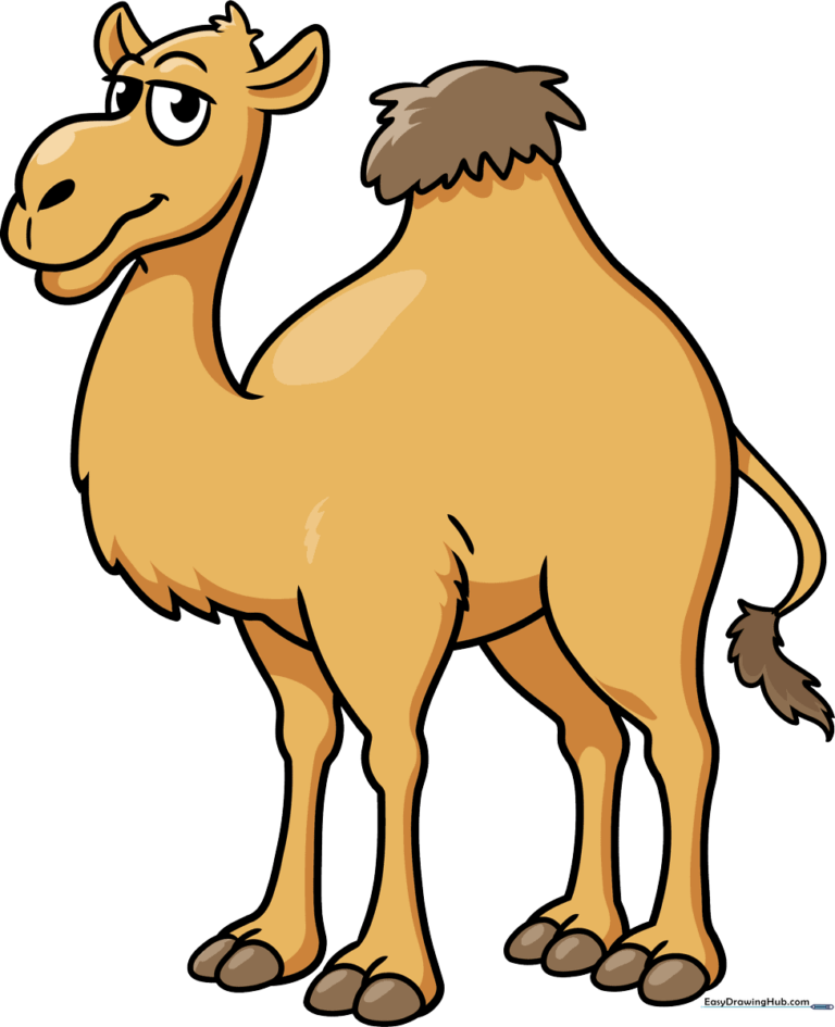 A colorful, friendly cartoon camel standing in the desert, the final result of the drawing tutorial.