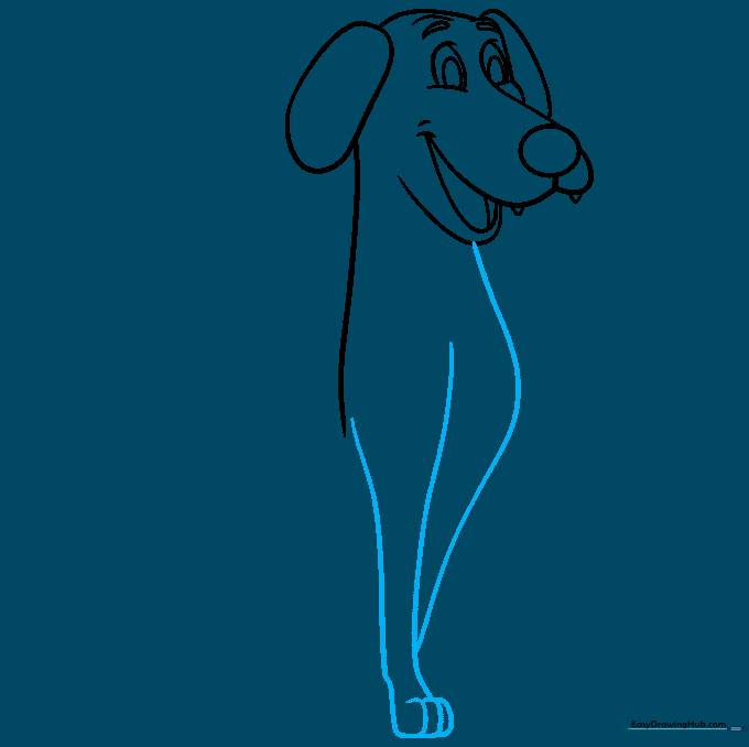 Pencil sketch of the dog's chest and first front leg with paw details.