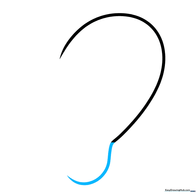 The outer ear outline completed with a rounded earlobe at the bottom.