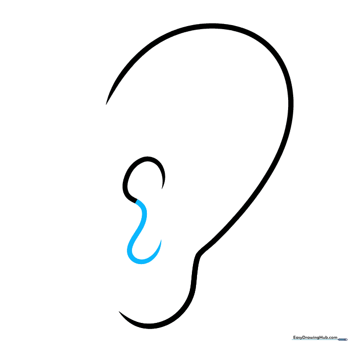 The tragus flap added to the inner ear structure.