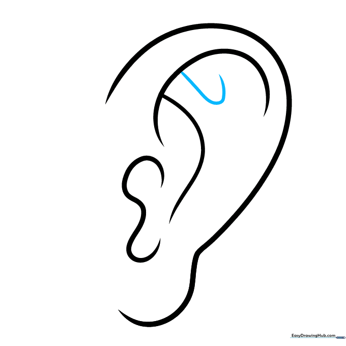 A small folded line added to the upper ear area.