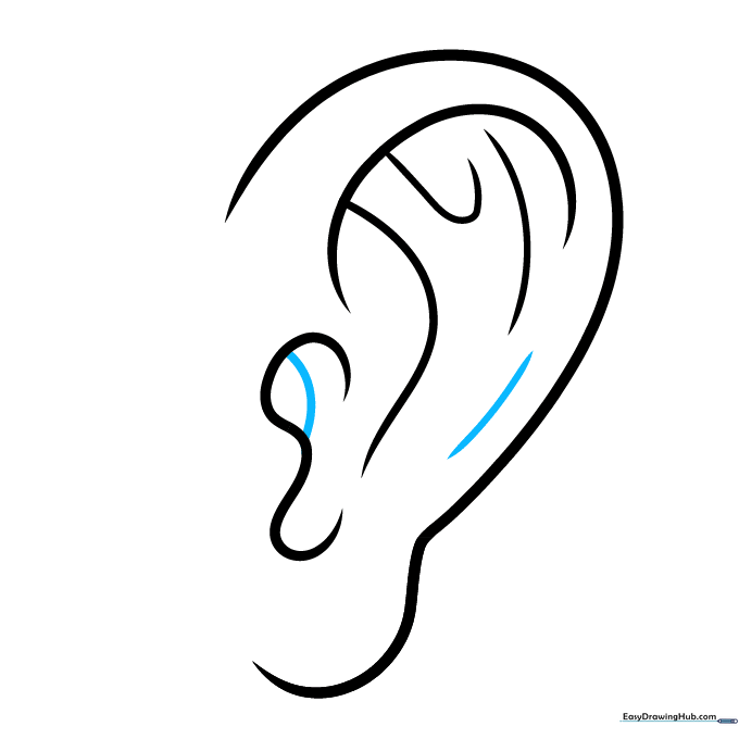 The completed line drawing of a cartoon ear with all details added.