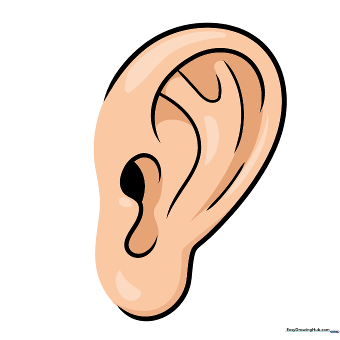 A fully colored cartoon ear drawing with shading.