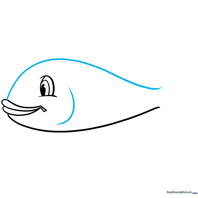 Pencil sketch showing the top arch of the fish's back and a small gill slit detail.