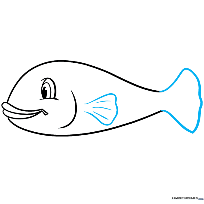 Pencil sketch adding a fan-shaped tail and side pectoral fin with texture lines.