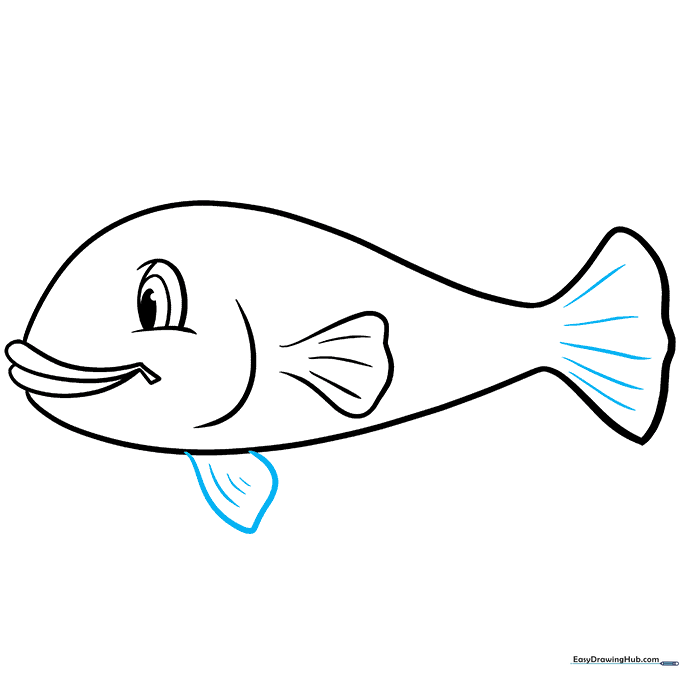 Pencil sketch adding a bottom fin with detailed texture lines.