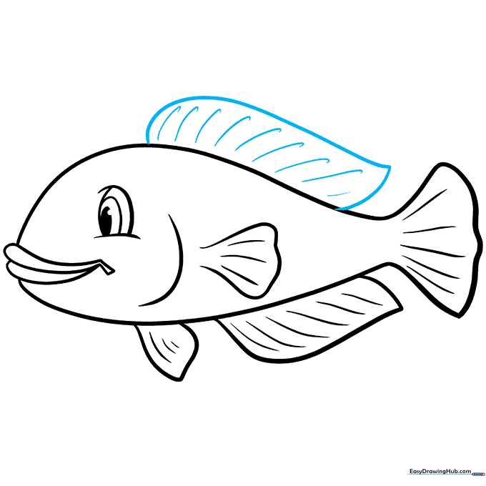 Pencil sketch showing the dorsal fin added to the top of the fish's back.