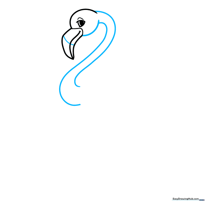 Sketching the long, elegant S-curve neck of the flamingo.