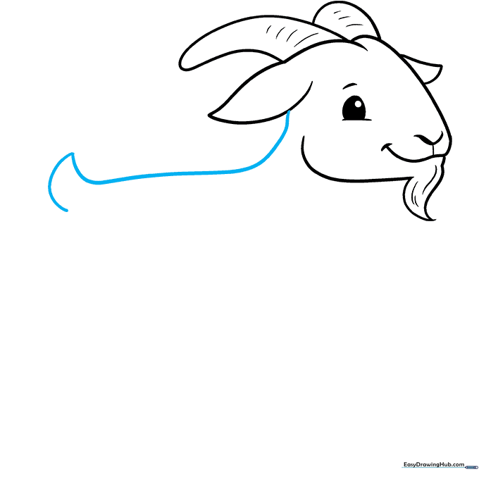 Drawing the long, curved line of the goat's back and its small tail.