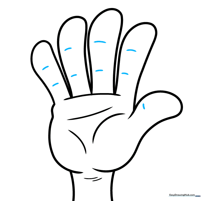 Adding small lines to indicate knuckles on the fingers and thumb.