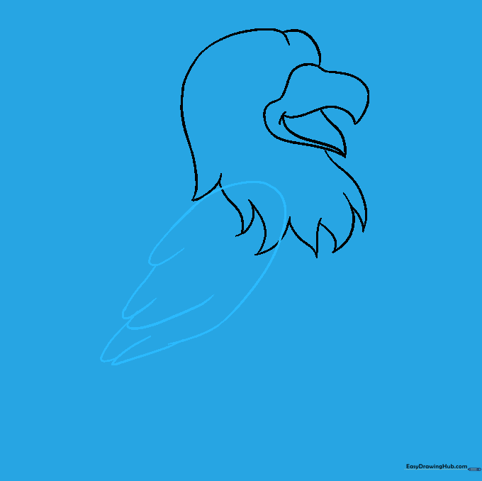 The hawk's large wing being sketched with overlapping feather details.