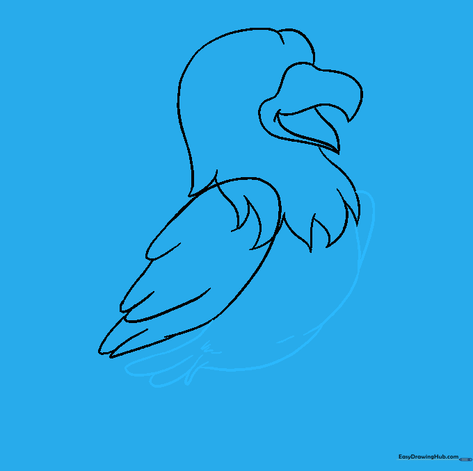 The hawk's body, tail, and secondary wing being added to the drawing.