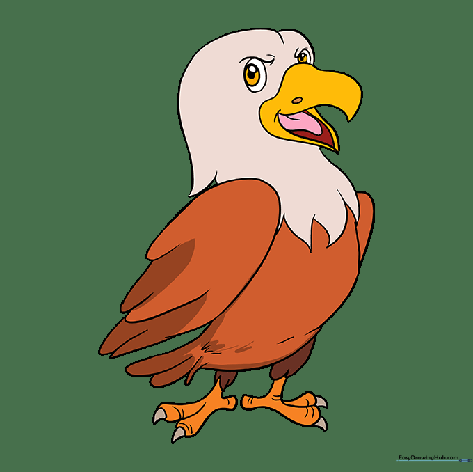 The completed cartoon hawk drawing fully colored with natural bird tones.