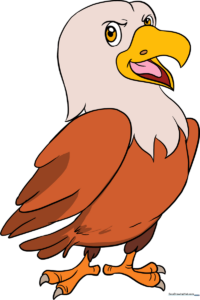 A vibrant, finished cartoon hawk illustration set against a clean background.
