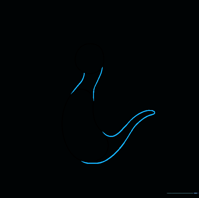 Drawing the kangaroo's neck and long, pointed tail using smooth, curved lines.