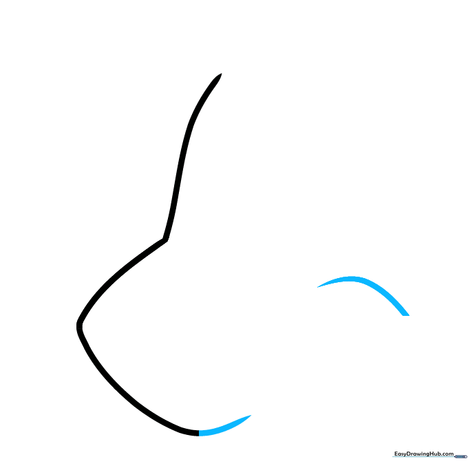 A short upward line and a smooth curve extending to the right, building the upper bridge of the nose.
