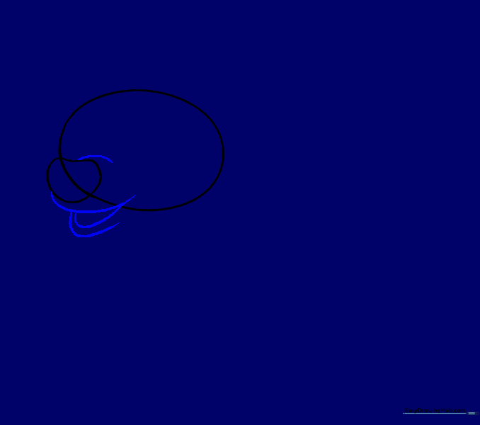 Curved lines added around the snout and a small open mouth shape below.