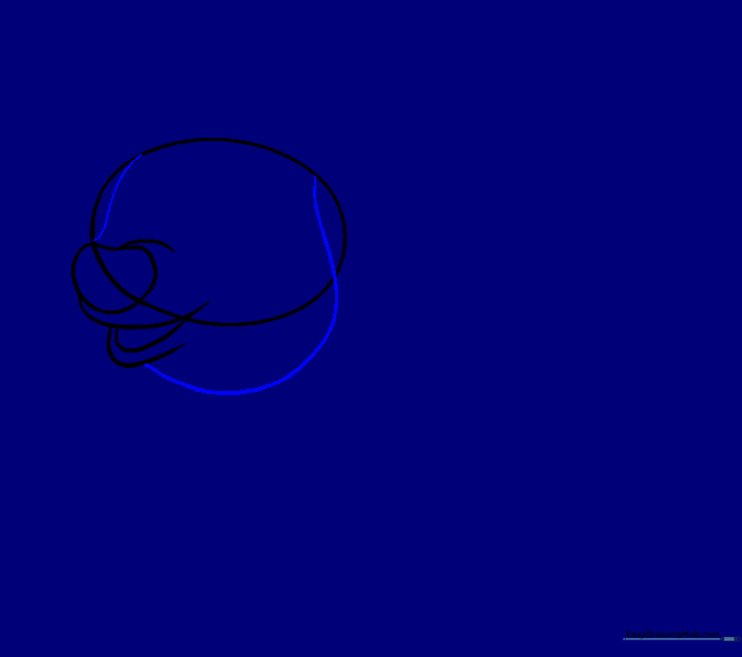 Curved lines connecting the snout area to the outer edges of the head oval.
