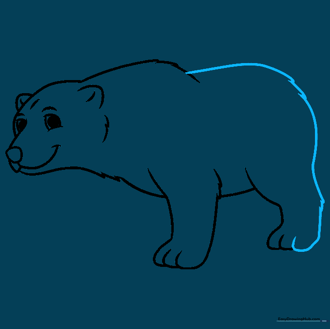 Drawing the back and rump of the polar bear with smooth, continuous lines.