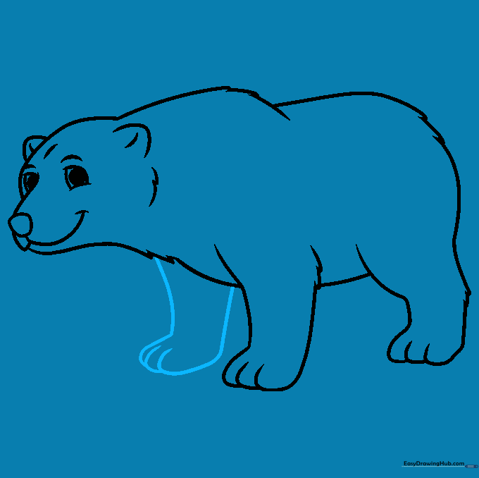 Detailed sketch of the polar bear's front paws with visible toe segments.