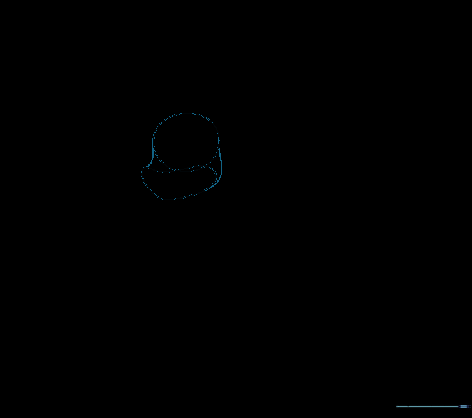 Curved lines connecting the snout to the head circle to create a smooth facial profile.