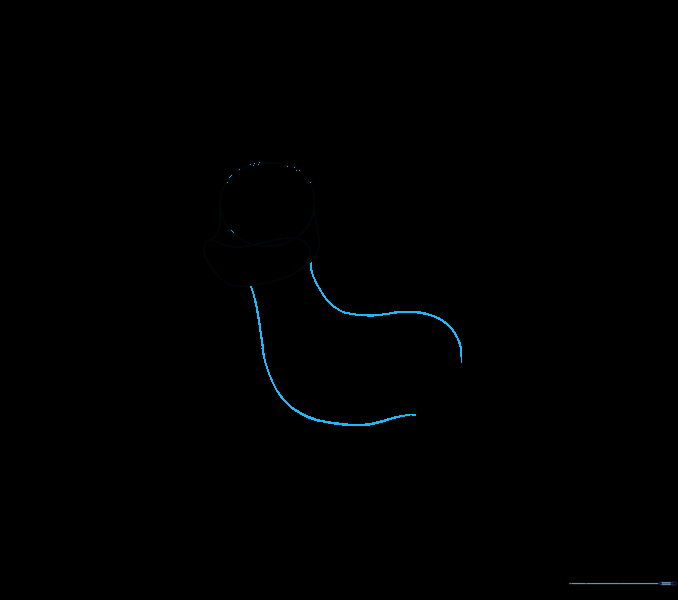 Long curved lines extending from the head to form the neck and body of the reindeer.