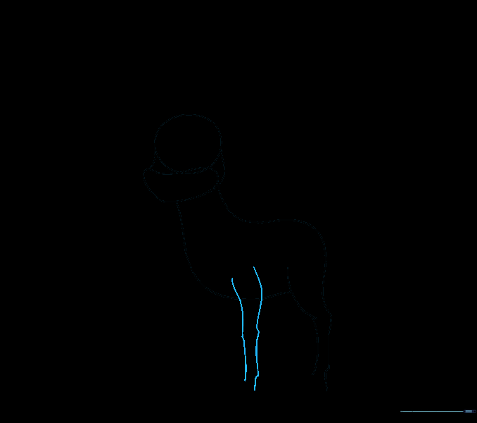 A second front leg drawn next to the first, maintaining consistent joint placement.
