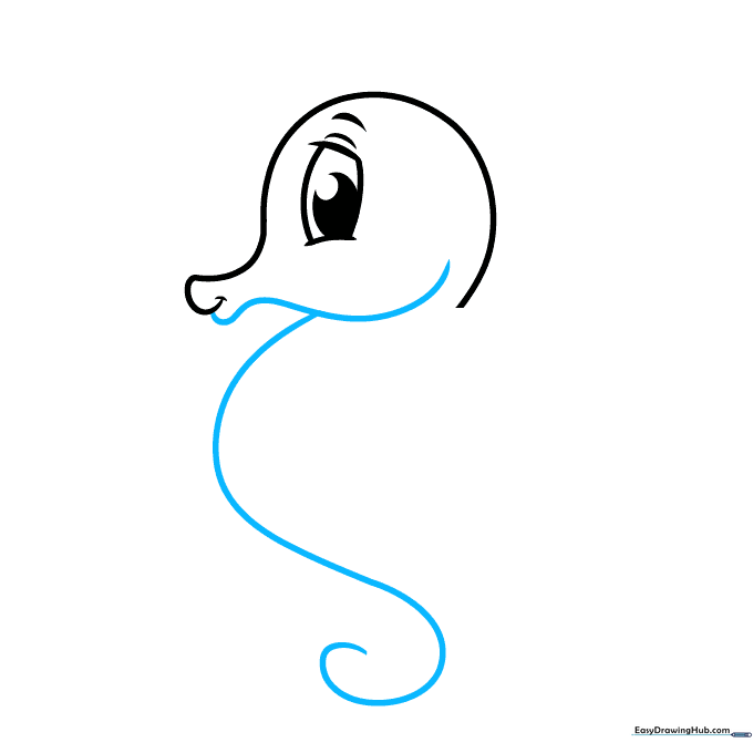The outline of the seahorse body showing the long spiral tail and belly.