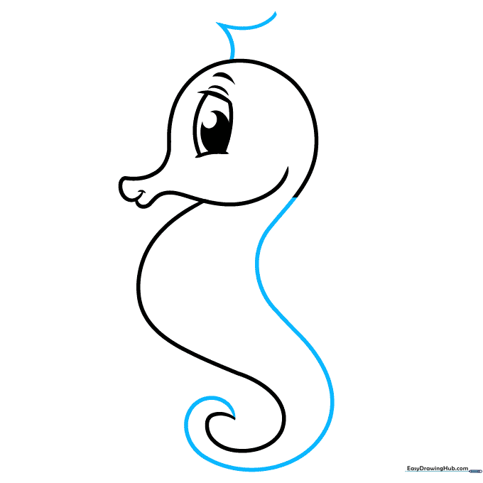 The complete body outline of the seahorse with the start of the dorsal fin on the back.
