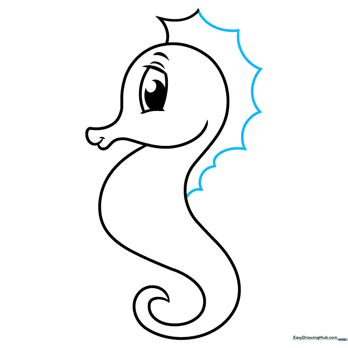 The seahorse drawing with a detailed, scalloped dorsal fin along the back.