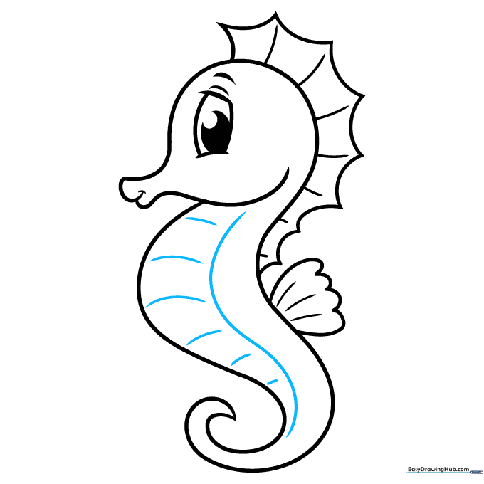 Adding horizontal lines to the belly to show the segmented body of the seahorse.