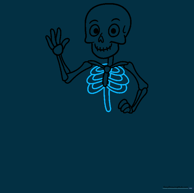 Drawing the rib cage and spine structure for the cartoon skeleton.