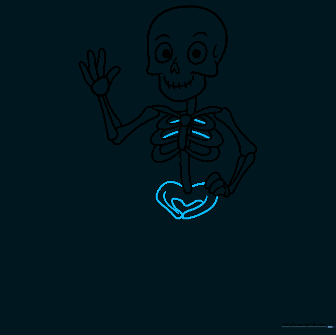 Adding the pelvis bone structure to the cartoon skeleton.