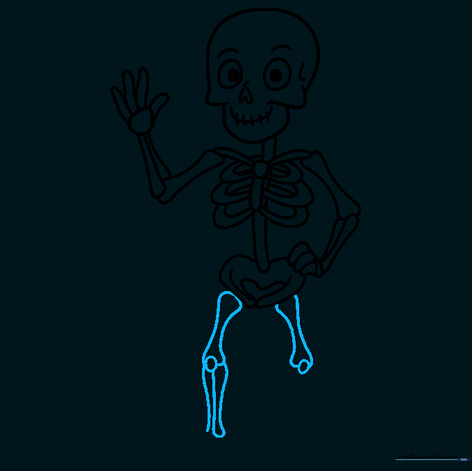 Sketching the upper and lower leg bones with kneecaps.