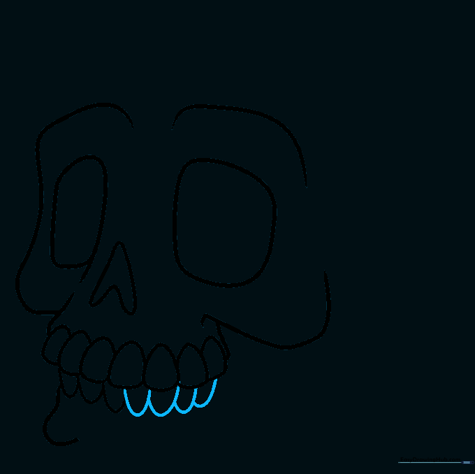 Adding more U-shaped teeth to the lower jaw to match the upper row.