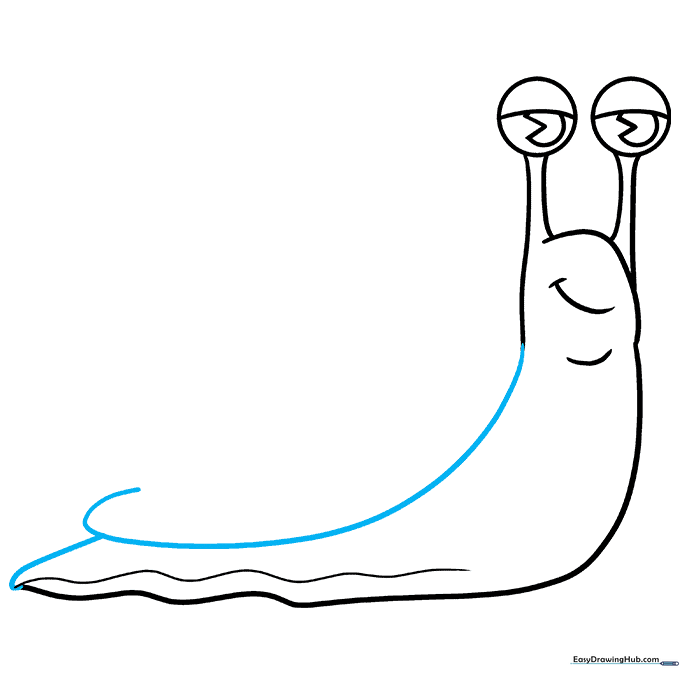 The snail's body with a curved outline starting the shell structure.